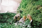 淘宝申请维修流程详解，轻松解决商品问题